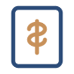 SVG 11